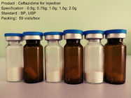 注入0.5G - 2.0GのためのCeftazidimeの抗生ナトリウム/Ceftazidime