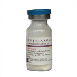 注入のための生殖不能の半合成乾燥した粉の注入のCeftriaxoneナトリウム