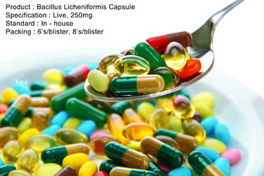 生きているバチルスLicheniformisのカプセル250mg口頭薬物